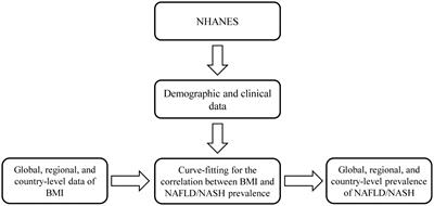 A significant and persistent rise in the global burden of adolescent NAFLD and NASH estimated by BMI